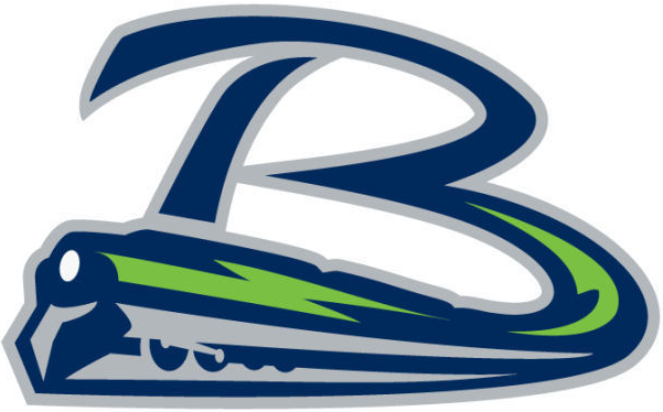 bloomington thunder 2014-pres secondary logo iron on heat transfer